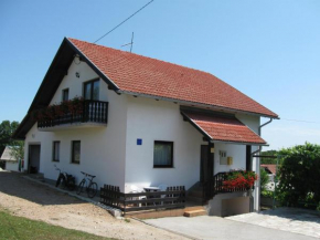 Apartments with a parking space Smoljanac, Plitvice - 11334